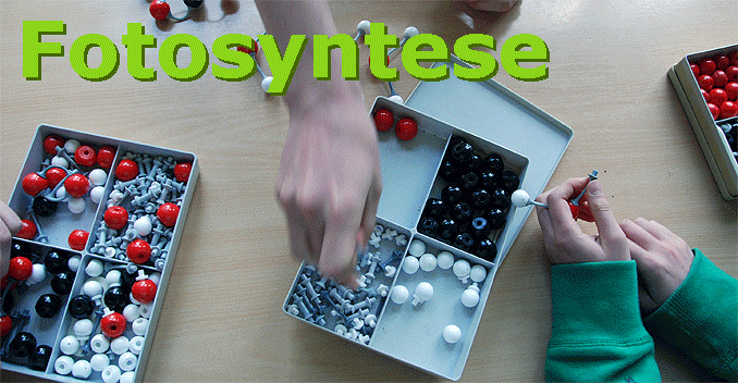 fotosyntese molekyleset