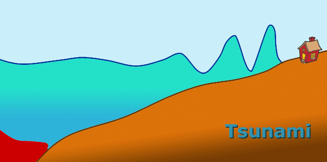 tsunami ani