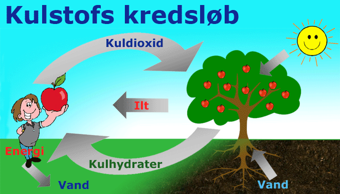 kulstofkreds
