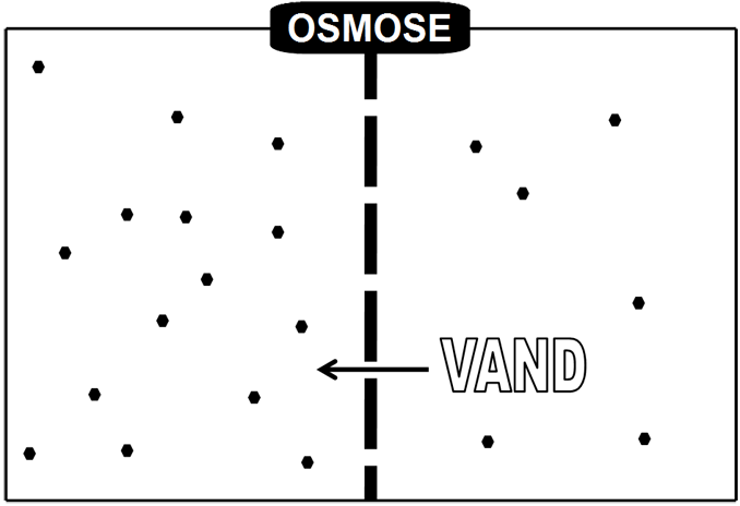osmose05